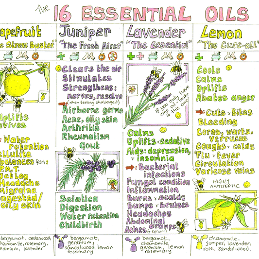 Buy one get one free - Mix and Match items of the same value - Essential Oils Chart