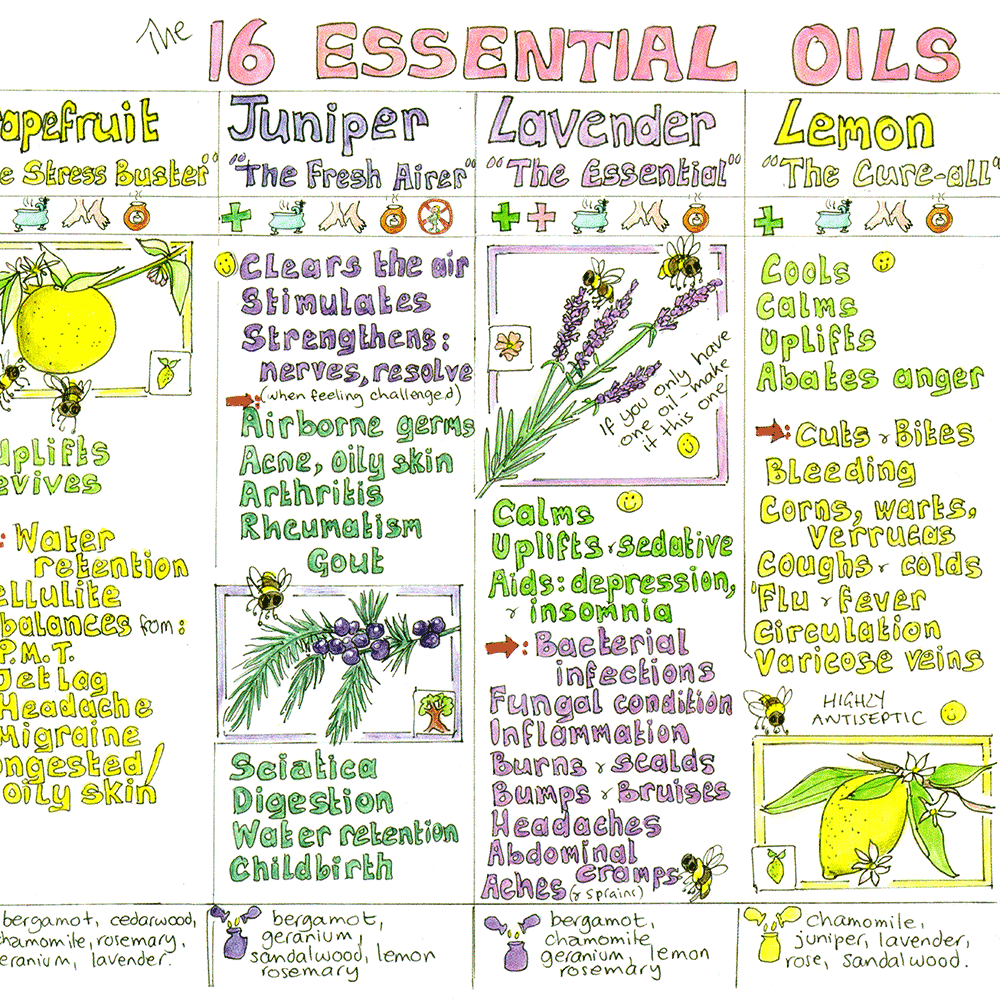 Essential Oils Chart Multi-pack 5 untubed Charts