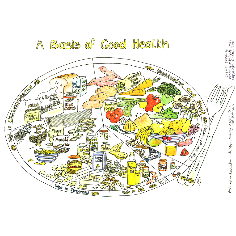 Colouring Plate Chart