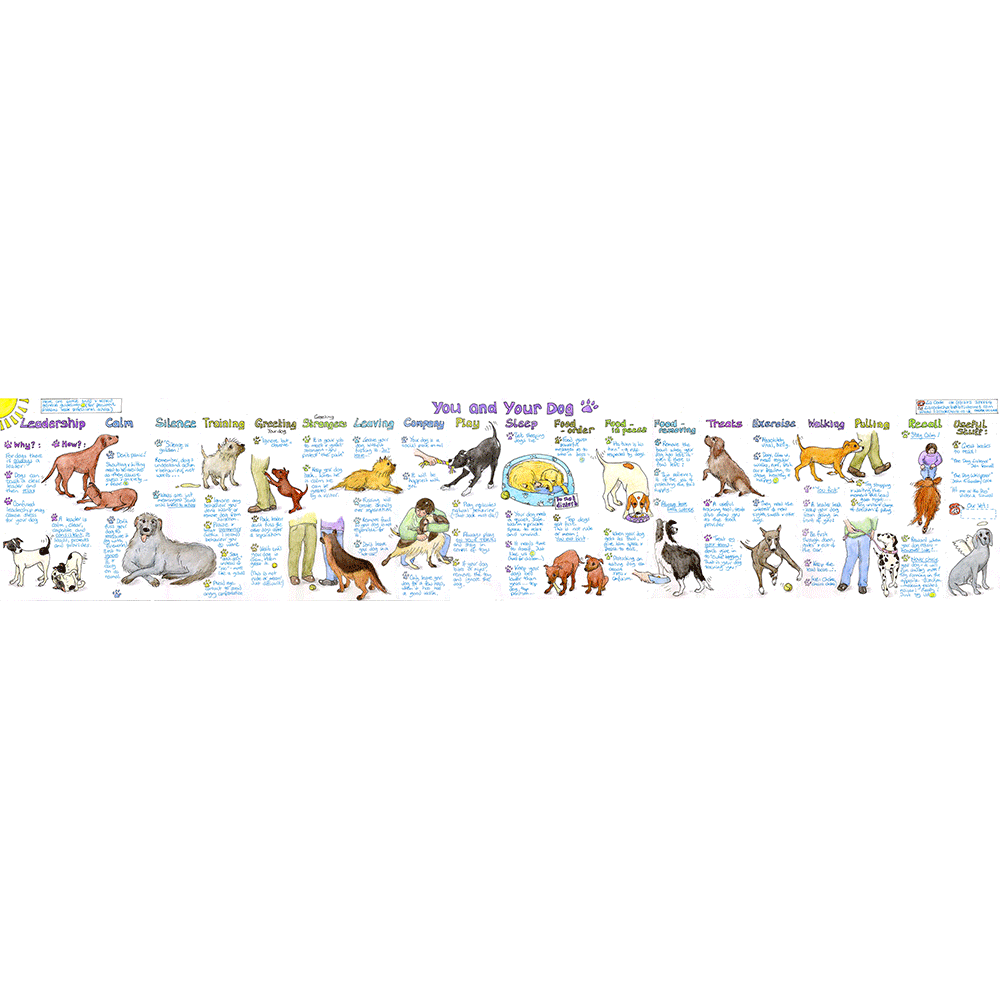 "You and Your Dog" Stock Clearance Sale- Box of 10 for just £10.00
