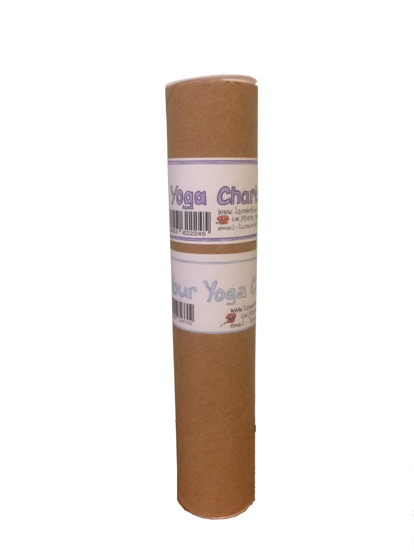 Twin pack: Your Yoga Chart and Yoga Chart