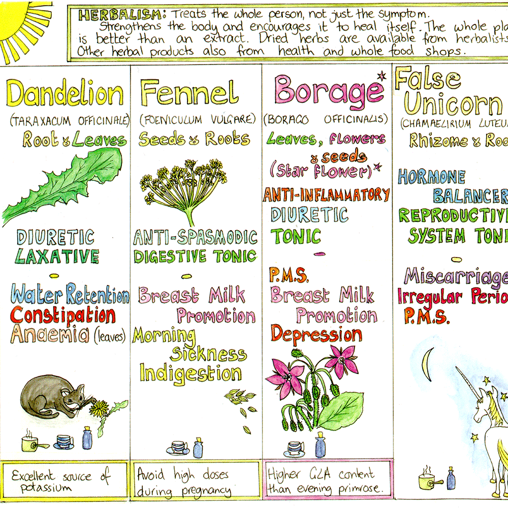 Woman's Healing Herbs Chart