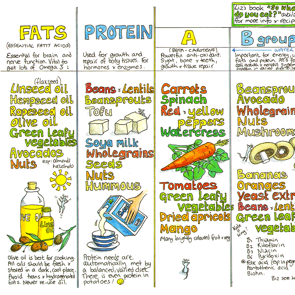 The Nutrition Chart