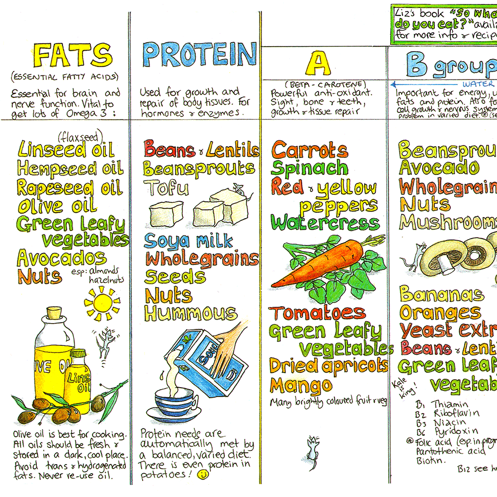 The Nutrition Chart Multi-pack 5 untubed Charts