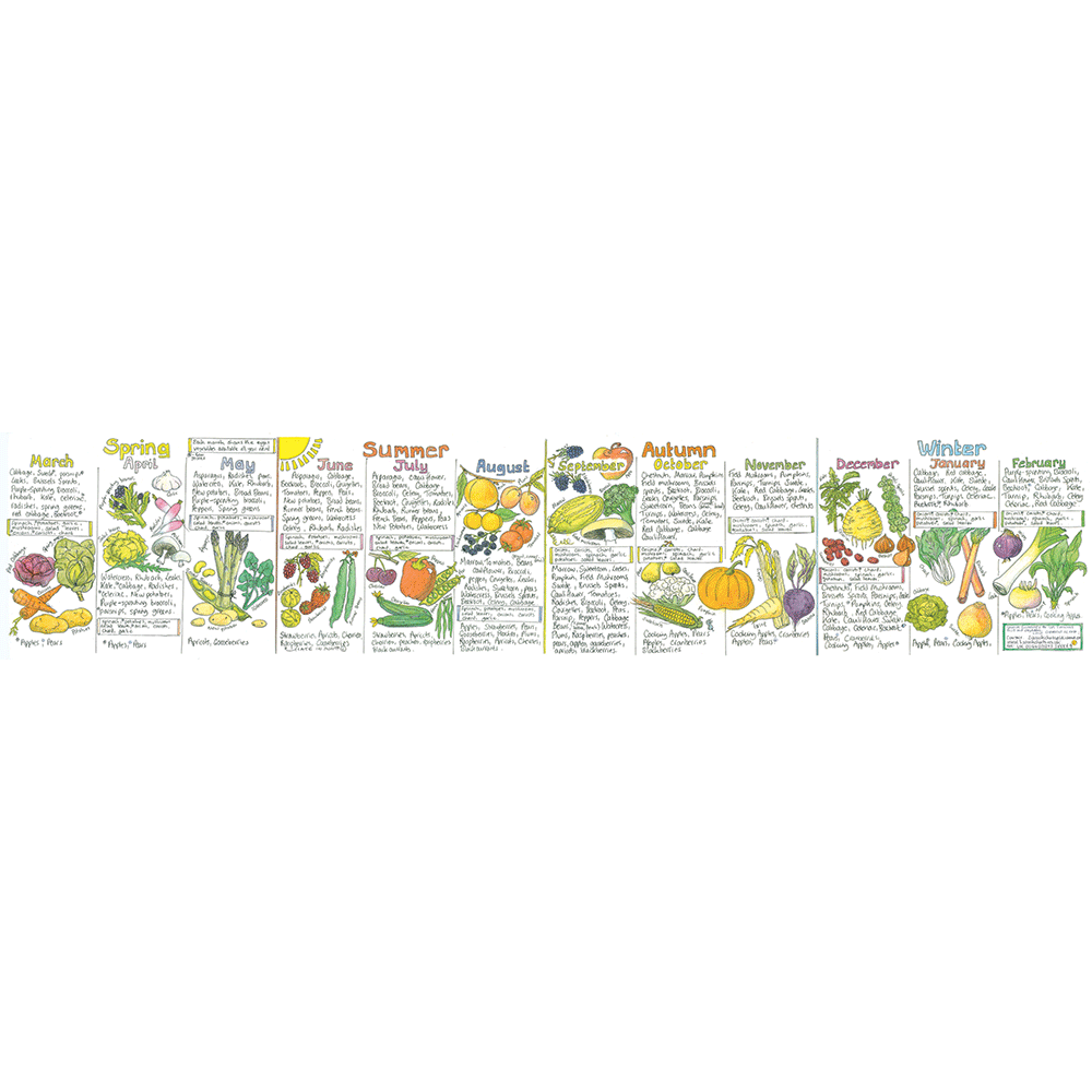 Seasonal UK Fruit and Vegetable Chart