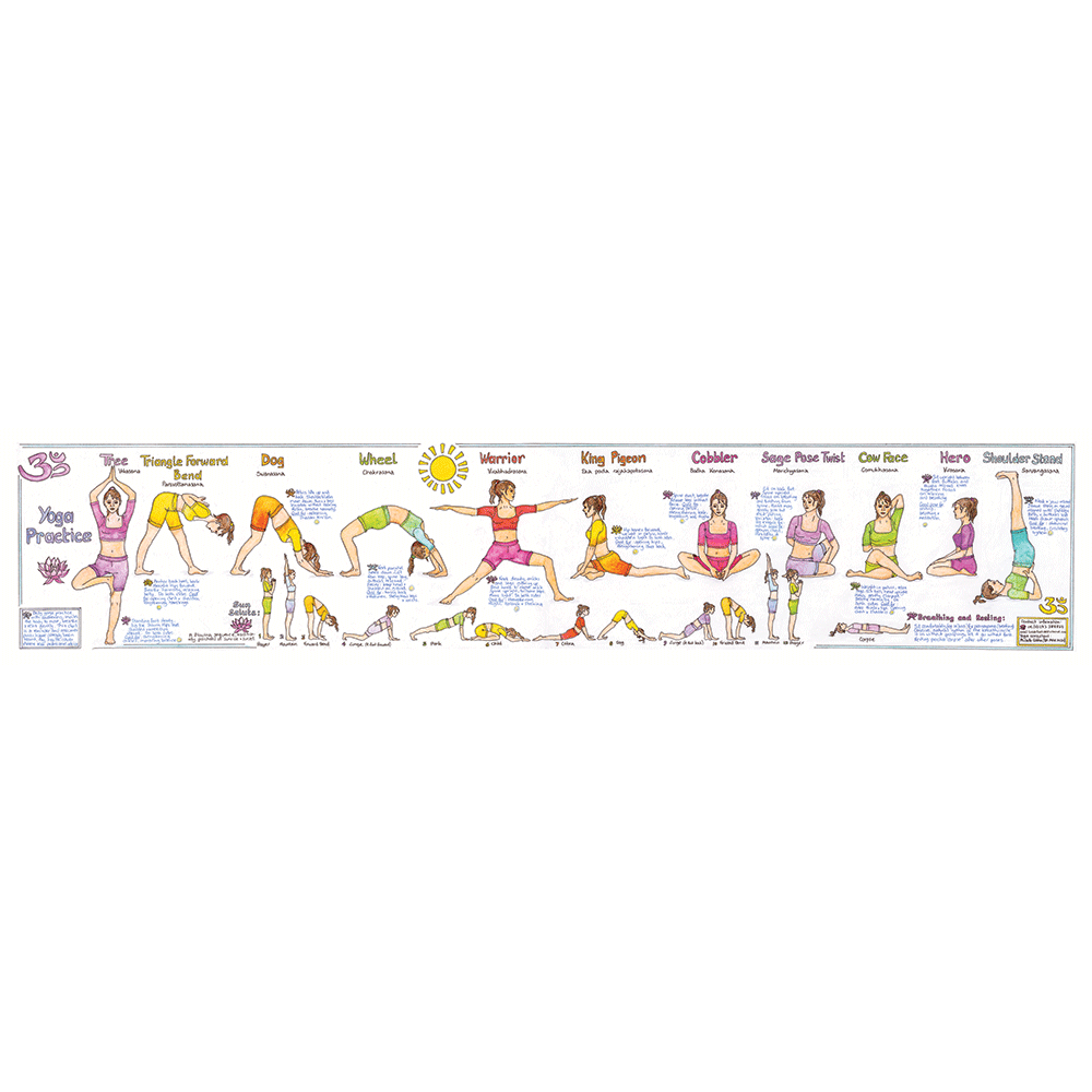 Buy YO11 | TeachingNest | Spine and Related Organs Yoga Chart (50x75cm) | Yoga  Chart | With Rollers | Hindi & English Combined [Wall Chart] teachingnest  Book Online at Low Prices in