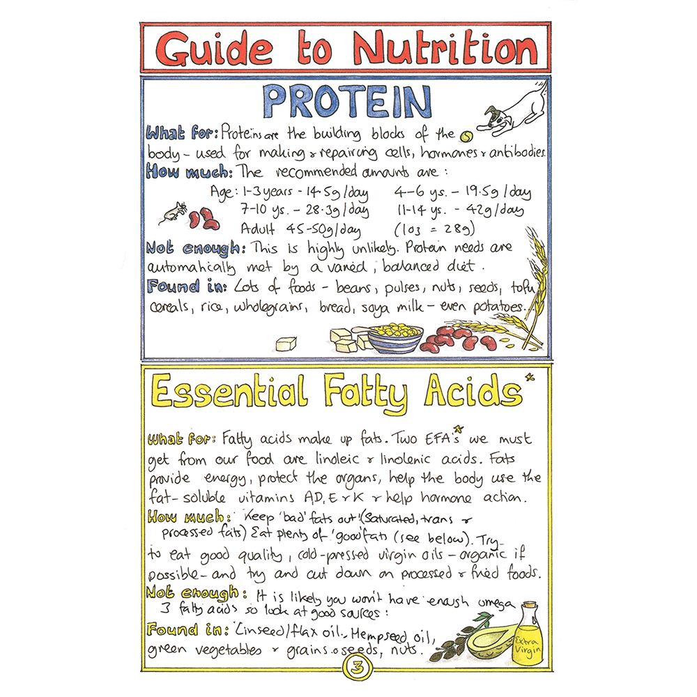 "So what do you eat?" Vegan Book plus FREE Vegan Nutrition Chart